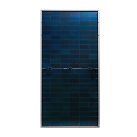 Солнечная батарея SilaSolar 550/690Вт (Bifacial)